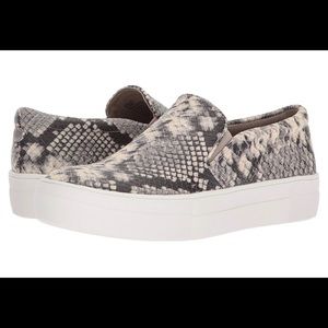 Steve Madden gill sneakers